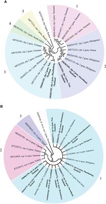 Molecular characterization and genetic diversity of Babesia bovis and Babesia bigemina of cattle in Thailand